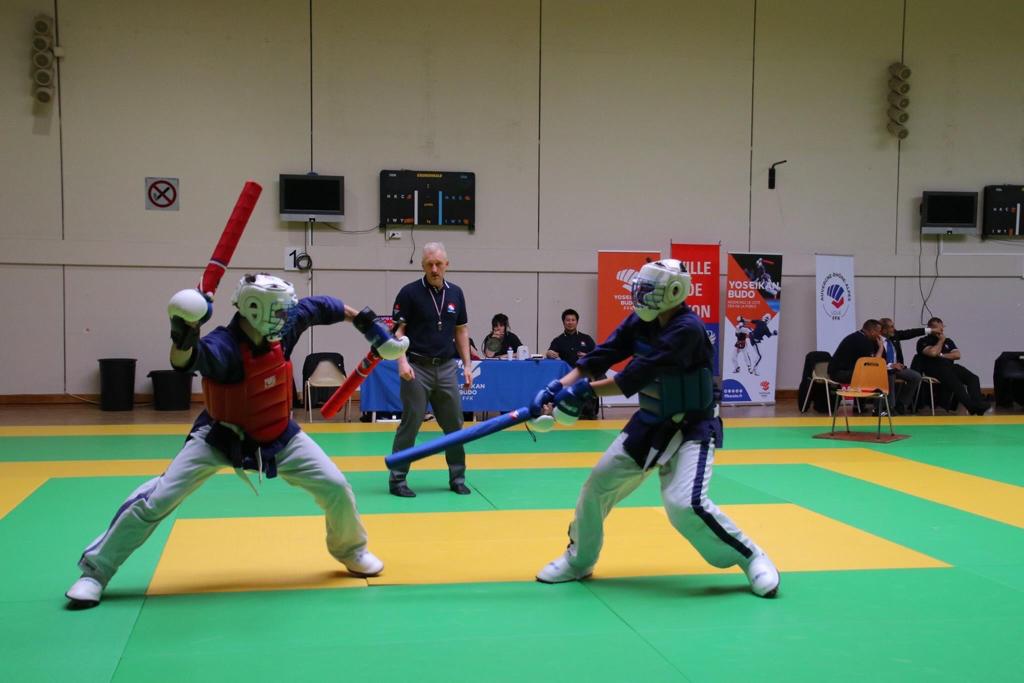 yoseikan budo