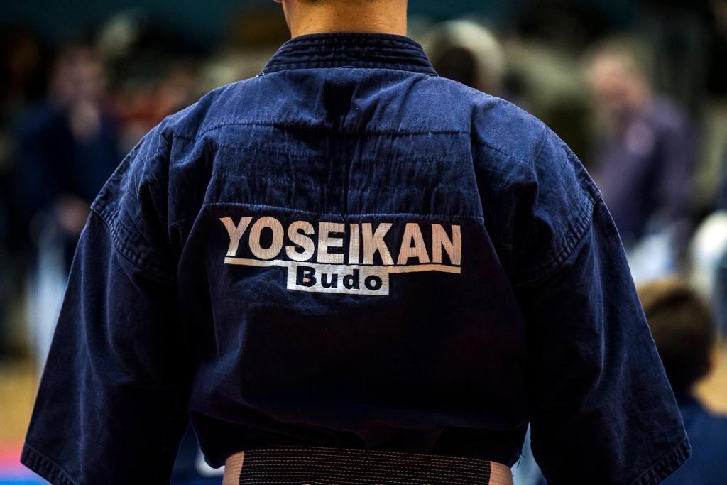 Yoseikan Budo